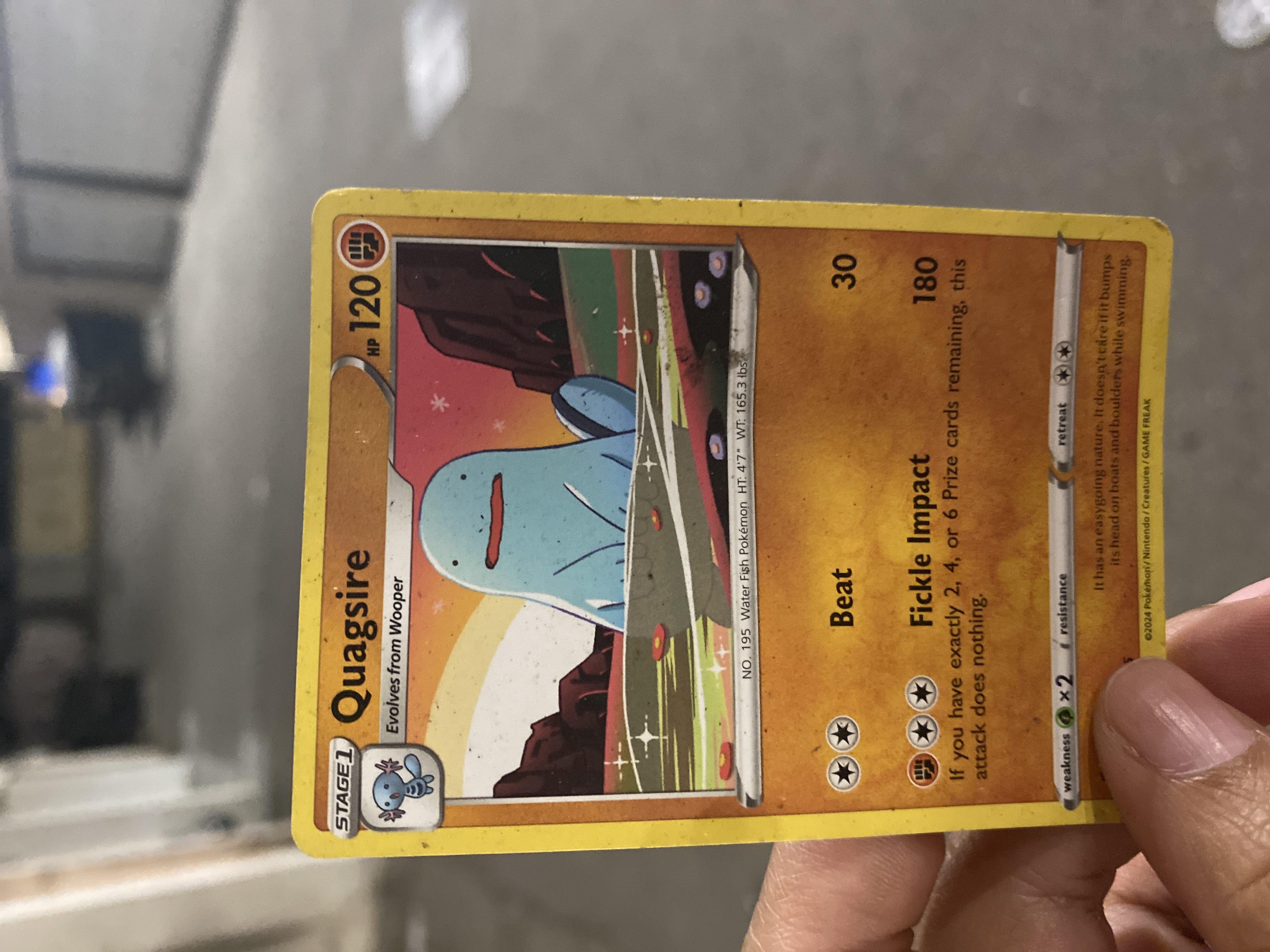 quagsire, picked up, front